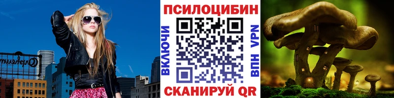 Псилоцибиновые грибы Psilocybe Кизилюрт